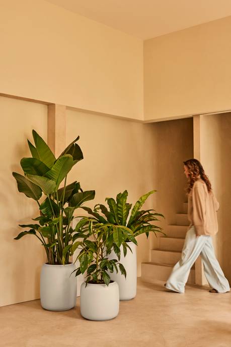 amber beads small 40cm blanco lino